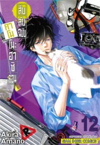 Image of สืบลับฉบับคาโมโนะฮาชิ รอน เล่ม 12